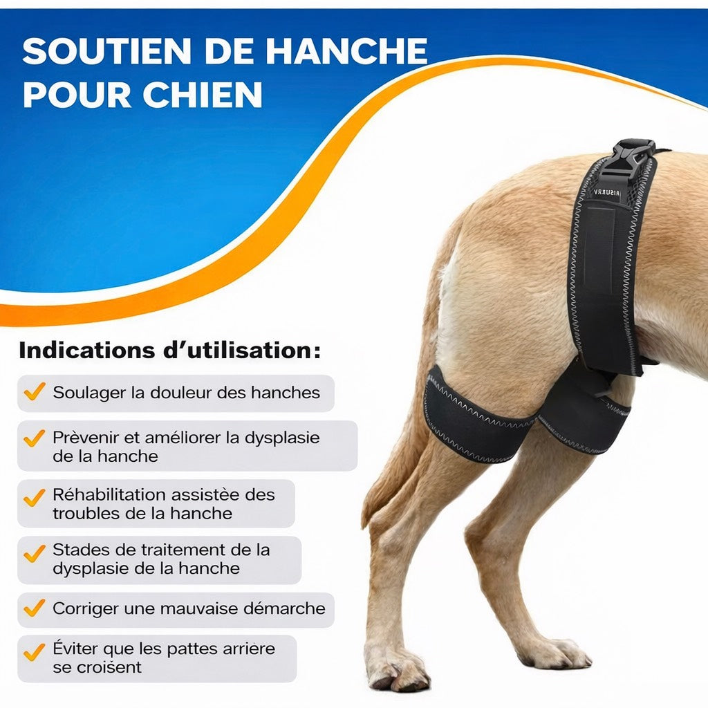 Orthèse de Hanche pour Chien – Soutien Articulaire Ajustable (Dysplasie, Douleurs, Mobilité)
