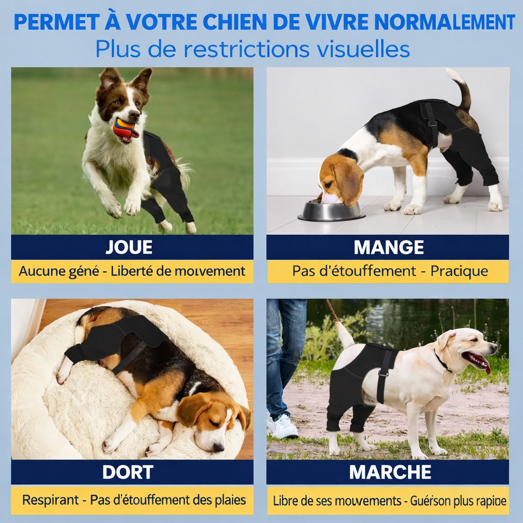 Attelle ACL pour chien – Soutien du genou & récupération articulaire