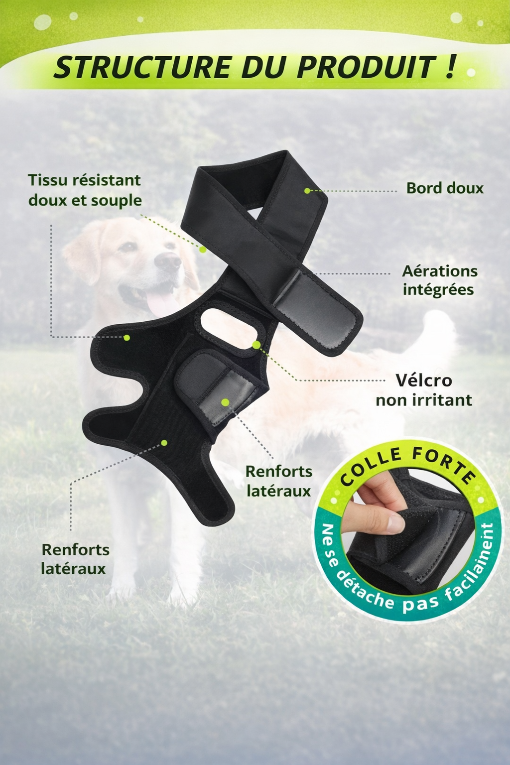 Attelle de Genou et Hanche pour Chien – Soutien Articulaire Ajustable (ACL / Arthrose / Récupération)