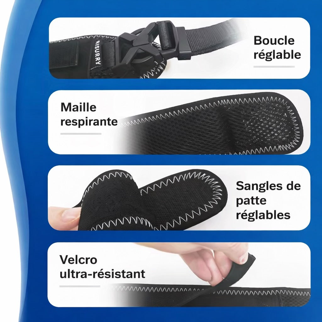 Orthèse de Hanche pour Chien – Soutien Articulaire Ajustable (Dysplasie, Douleurs, Mobilité)