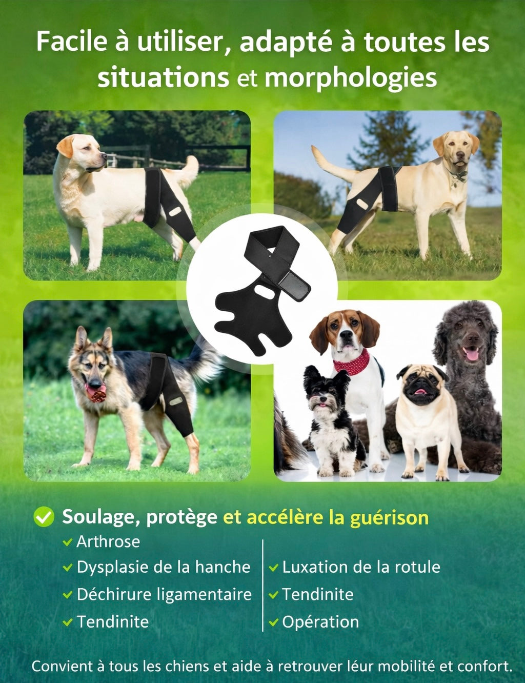 Attelle de Genou et Hanche pour Chien – Soutien Articulaire Ajustable (ACL / Arthrose / Récupération)