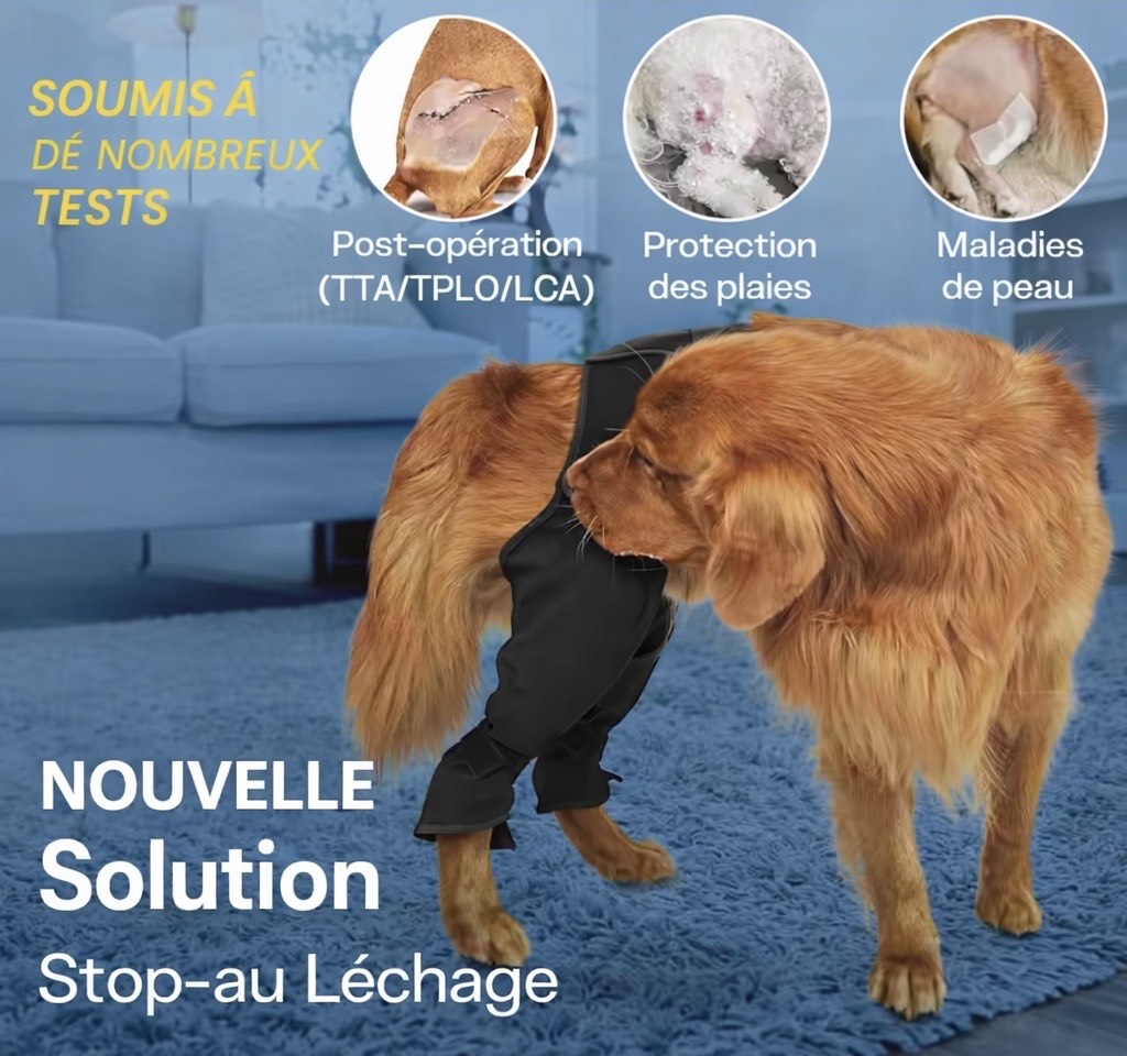 Attelle ACL pour chien – Soutien du genou & récupération articulaire