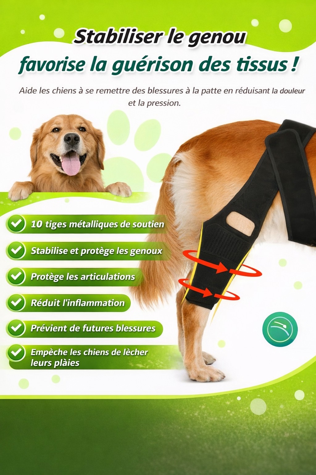 Attelle de Genou et Hanche pour Chien – Soutien Articulaire Ajustable (ACL / Arthrose / Récupération)