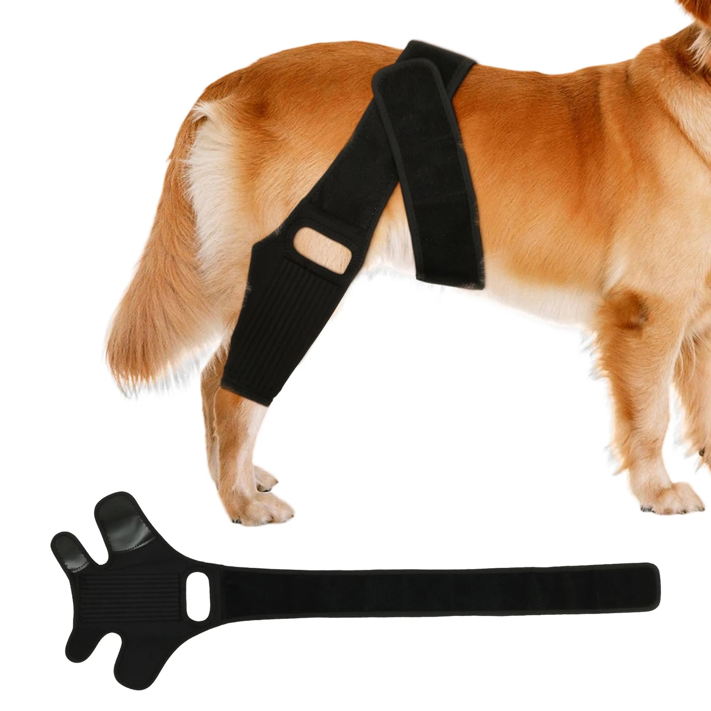 Attelle de Genou et Hanche pour Chien – Soutien Articulaire Ajustable (ACL / Arthrose / Récupération)
