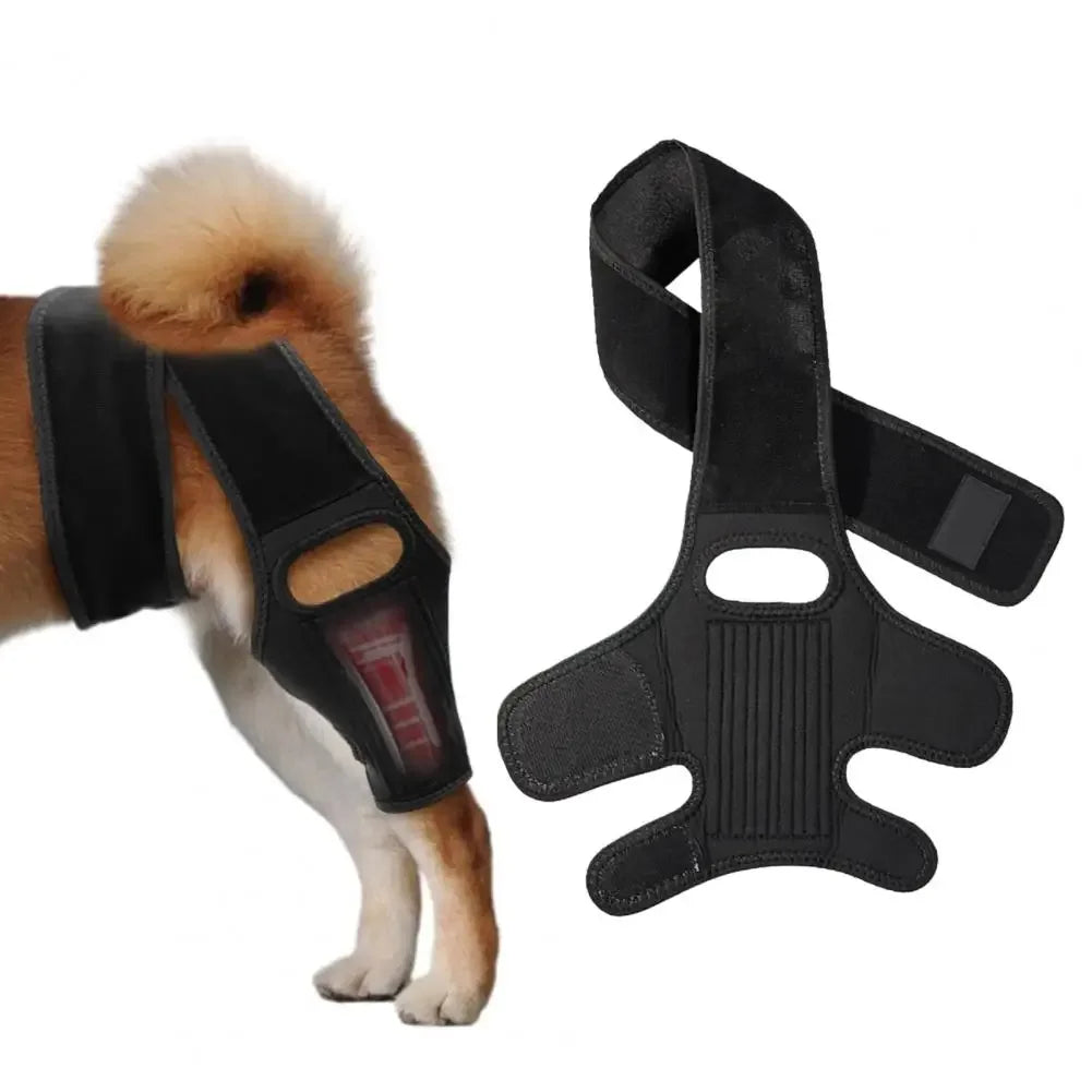 Attelle de Genou et Hanche pour Chien – Soutien Articulaire Ajustable (ACL / Arthrose / Récupération)